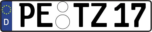 PE-TZ17