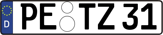 PE-TZ31