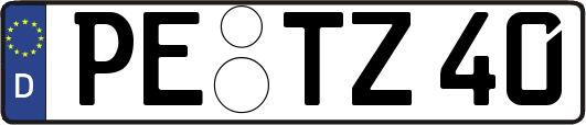PE-TZ40