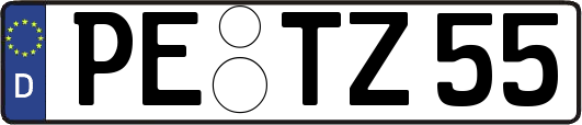 PE-TZ55