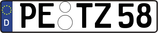 PE-TZ58