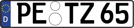 PE-TZ65