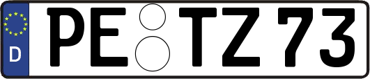 PE-TZ73