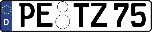 PE-TZ75