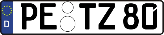 PE-TZ80