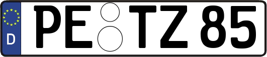 PE-TZ85