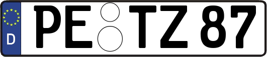 PE-TZ87