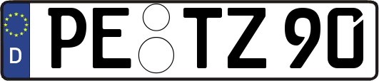 PE-TZ90