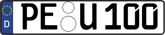 PE-U100