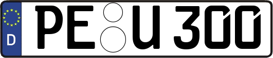 PE-U300
