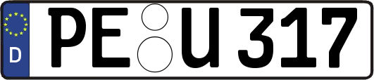 PE-U317