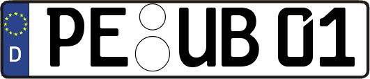 PE-UB01