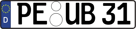 PE-UB31