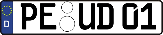 PE-UD01