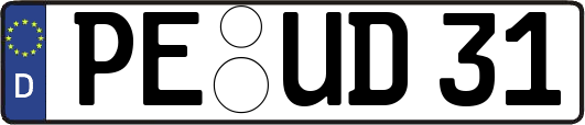 PE-UD31
