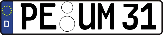PE-UM31