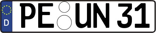 PE-UN31