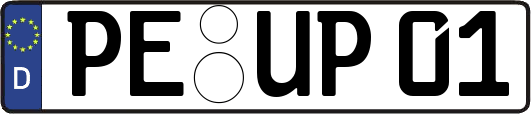 PE-UP01