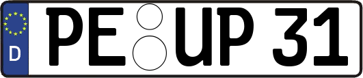 PE-UP31
