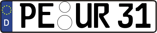 PE-UR31
