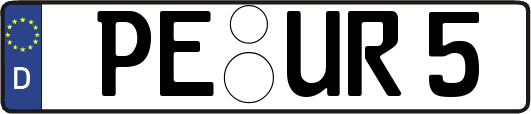 PE-UR5