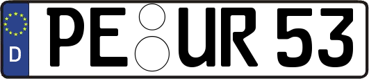 PE-UR53