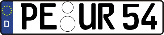 PE-UR54
