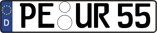 PE-UR55