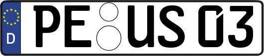 PE-US03