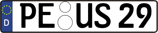 PE-US29