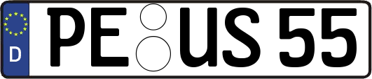 PE-US55