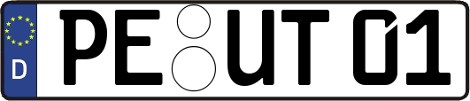 PE-UT01