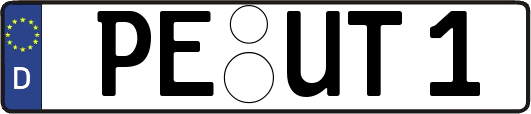 PE-UT1