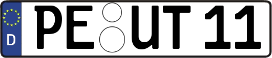 PE-UT11