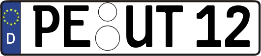 PE-UT12