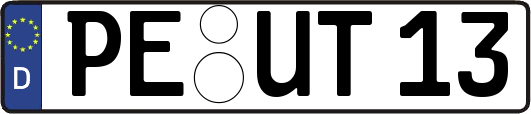 PE-UT13