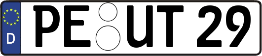 PE-UT29