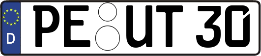 PE-UT30