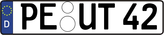 PE-UT42