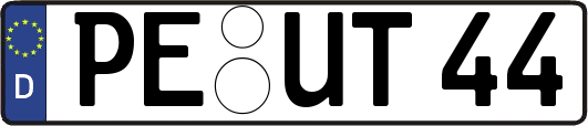 PE-UT44