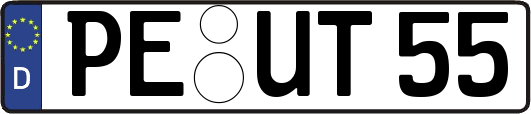 PE-UT55