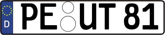 PE-UT81