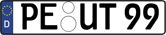 PE-UT99