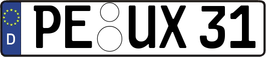 PE-UX31