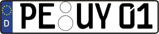 PE-UY01
