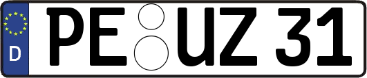 PE-UZ31