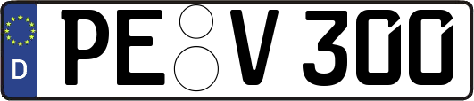 PE-V300