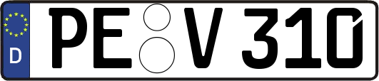 PE-V310