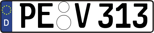 PE-V313