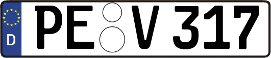 PE-V317